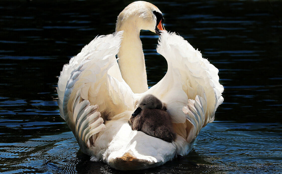 Abortion Jokes That Can Make People Uncomfortable