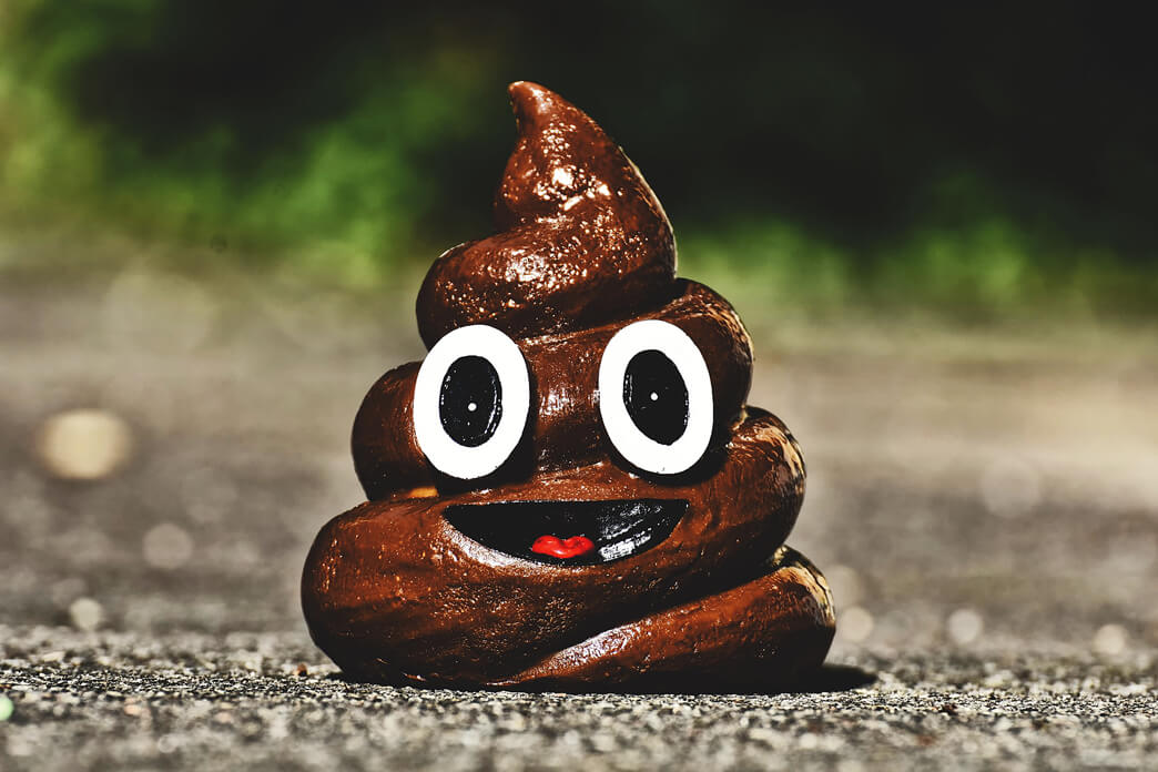 Shit Jokes That Will Make You Laugh Hysterically Instead of Being Disgusted