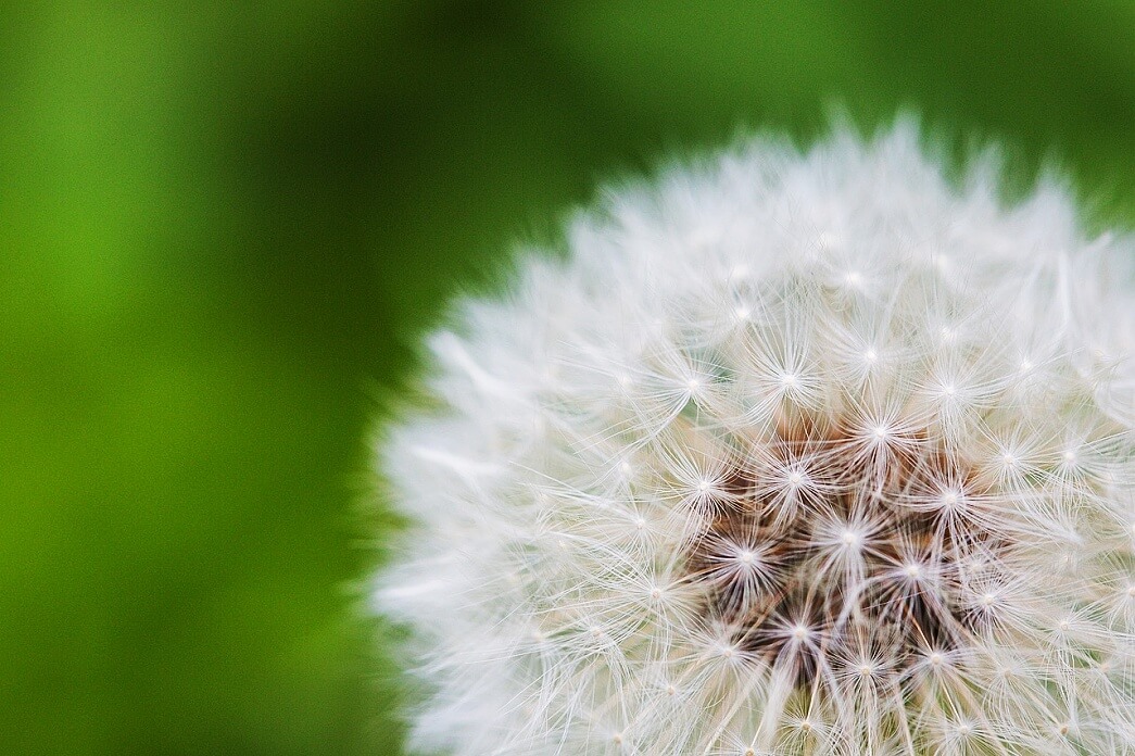 How to Enjoy Simplicity in Life and Lead a More Fulfilled Existence?